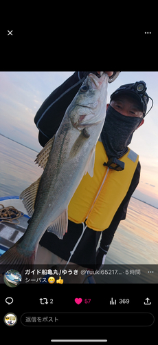 シーバスの釣果