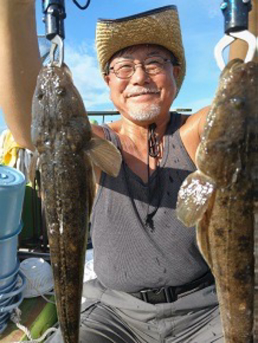 マゴチの釣果