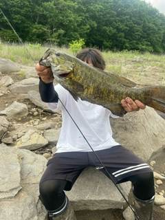 スモールマウスバスの釣果