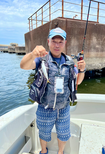 マアジの釣果