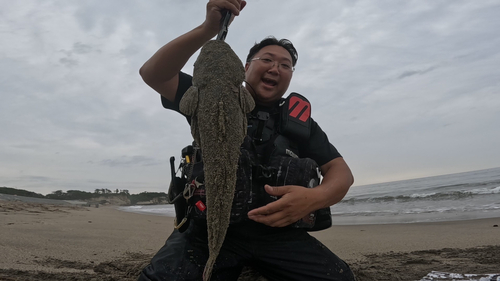 マゴチの釣果