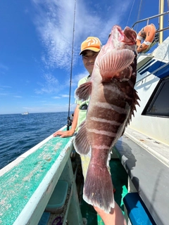 マハタの釣果