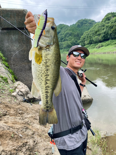 ブラックバスの釣果