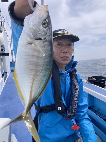 シマアジの釣果