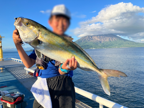 カンパチの釣果