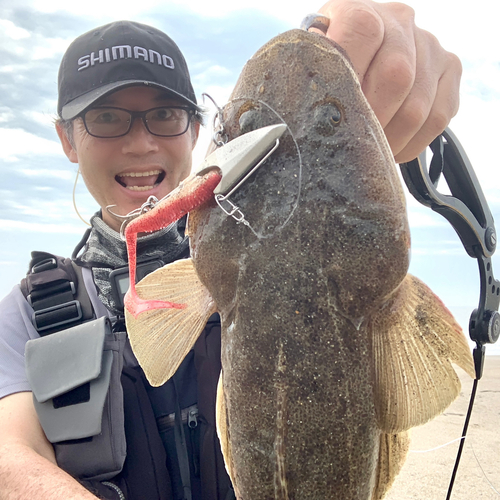 マゴチの釣果