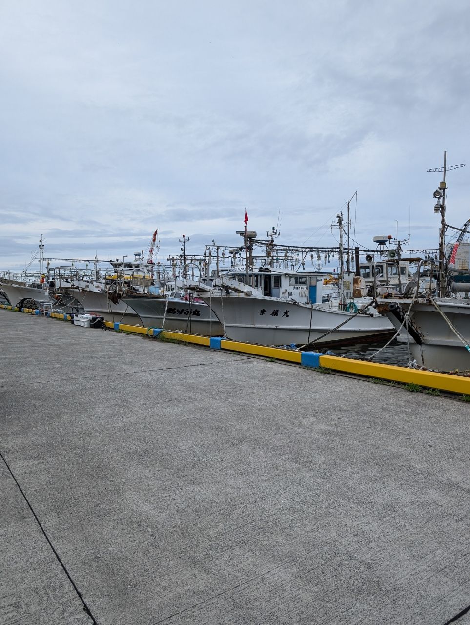 太郎寿司さんの釣果 2枚目の画像