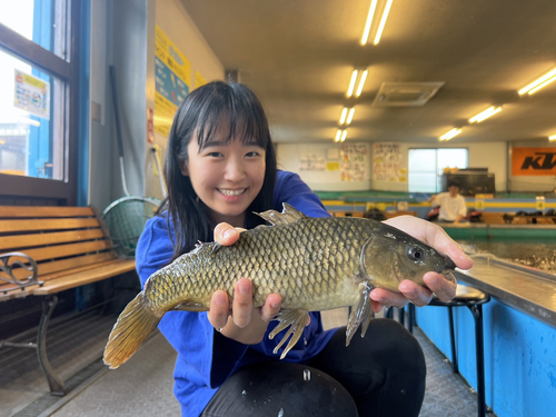 コイの釣果