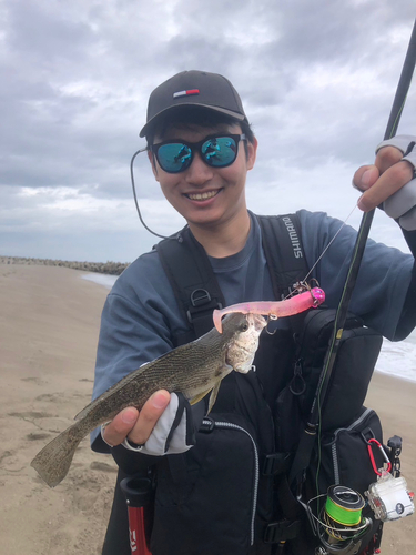 イシモチの釣果