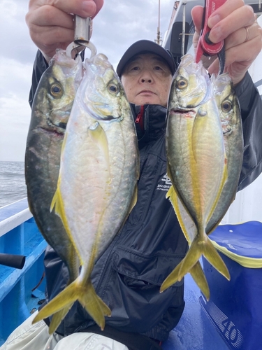 シマアジの釣果