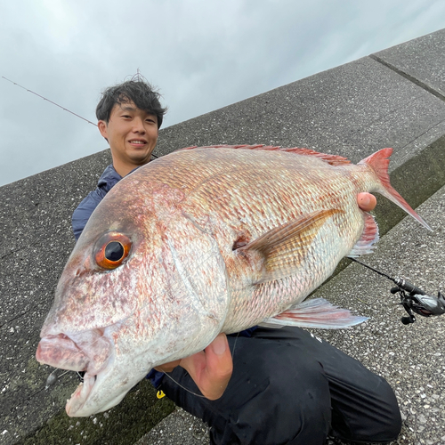 タイの釣果