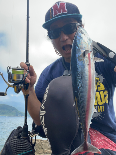 ソウダガツオの釣果