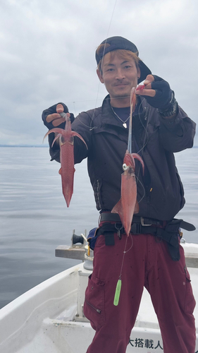 シロイカの釣果