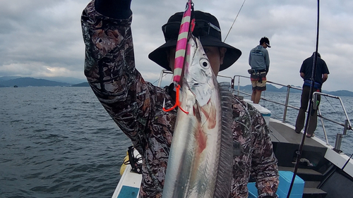 タチウオの釣果