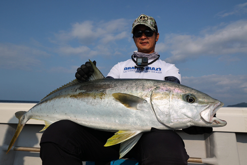 ヒラマサの釣果