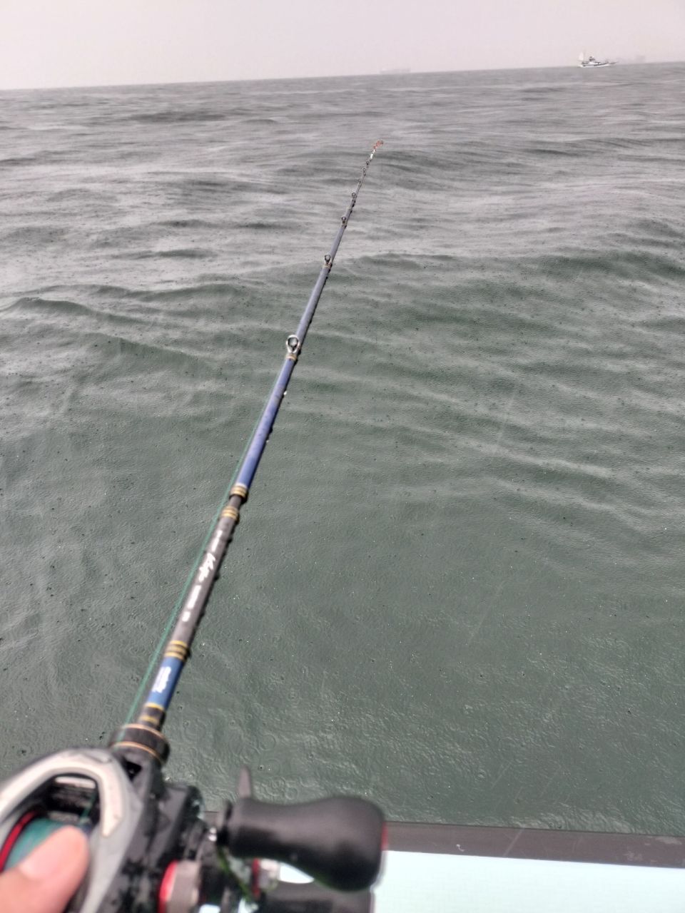 小モノ庶民アングラーさんの釣果 3枚目の画像