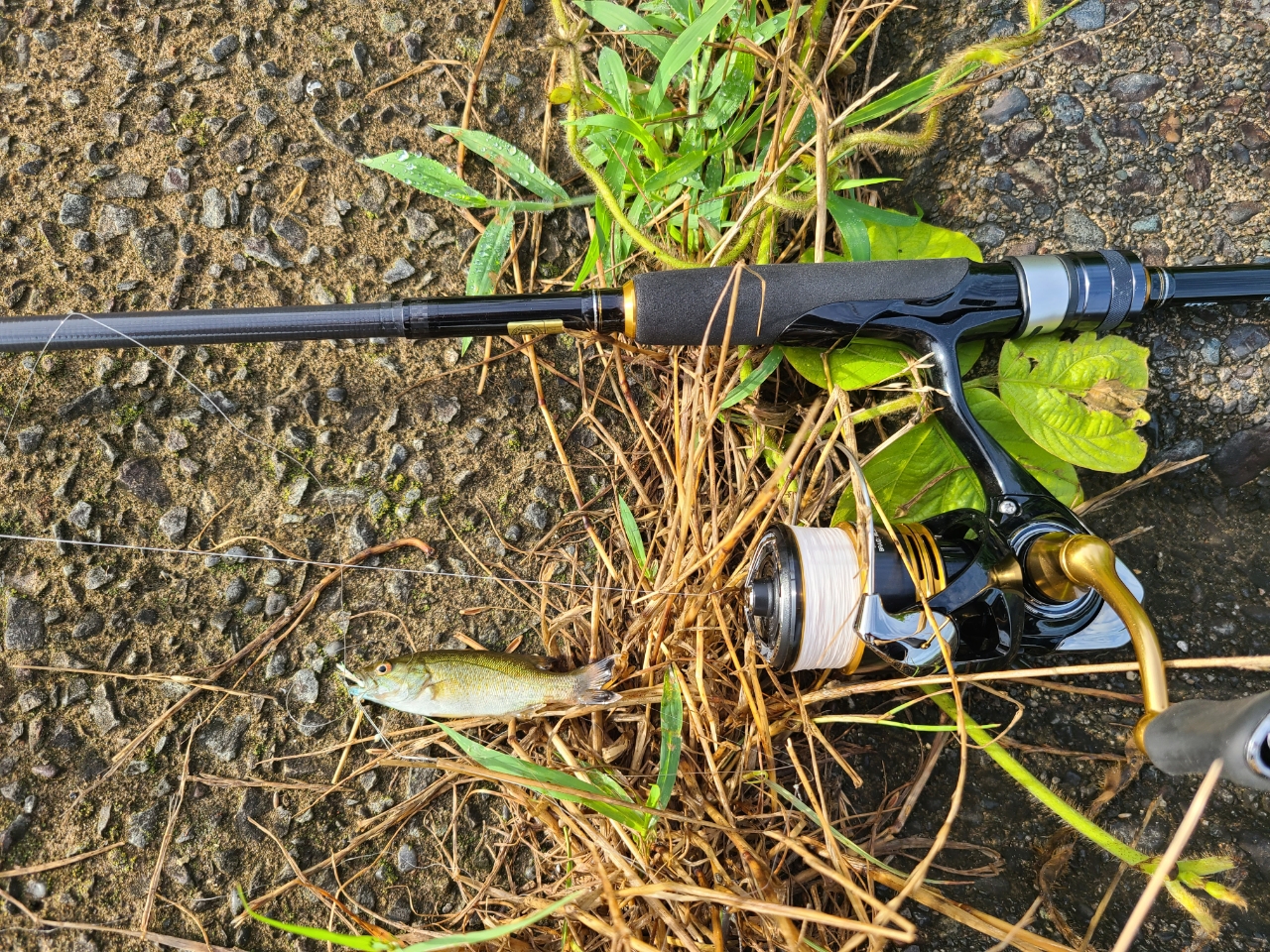 DAIWA 22モバイルパック 646TULの最安値・インプレ・釣果 | 本音の口コミが集まる釣具通販「TACKLE BOX」