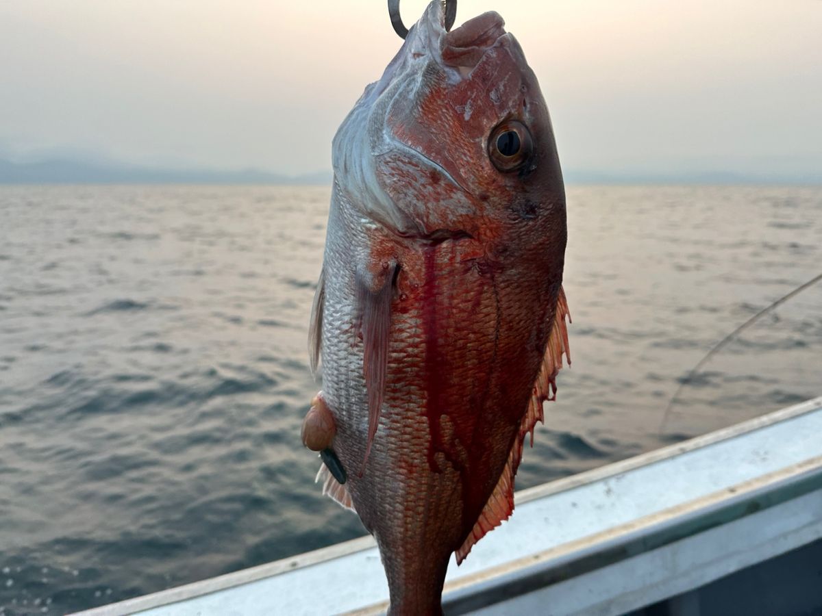 ClearBlue大好きさんの釣果 1枚目の画像