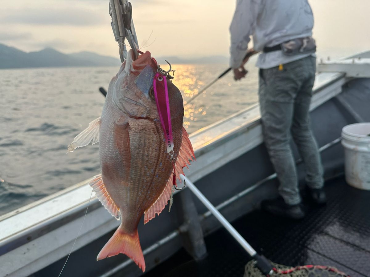 ClearBlue大好きさんの釣果 3枚目の画像