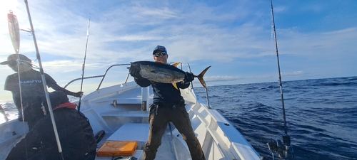 キメジの釣果