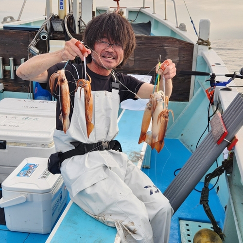 スルメイカの釣果