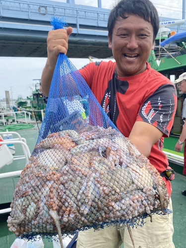 マダコの釣果