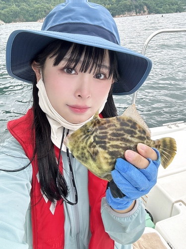 カワハギの釣果