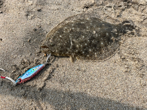 ソゲの釣果