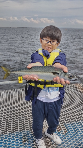 サバの釣果