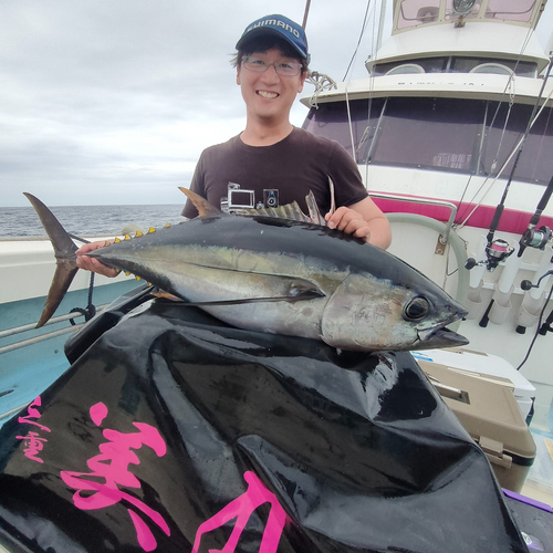 メバチマグロの釣果