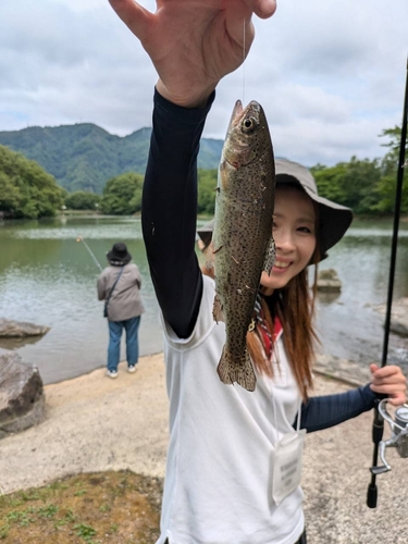 ニジマスの釣果