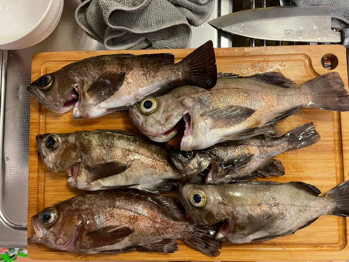 タカシンさんの釣果 3枚目の画像