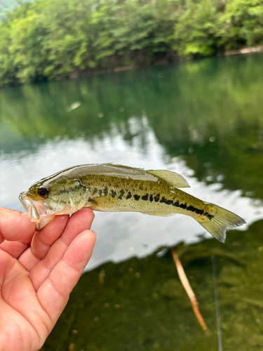 生野銀山湖