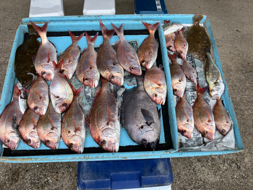 イシモチの釣果