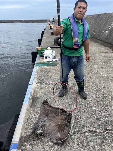 ナルトビエイの釣果