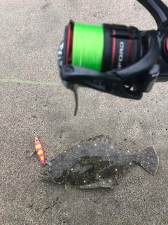 ソゲの釣果