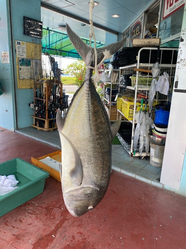 GTの釣果