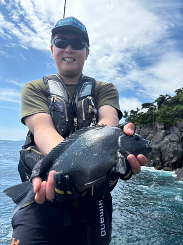 メジナの釣果