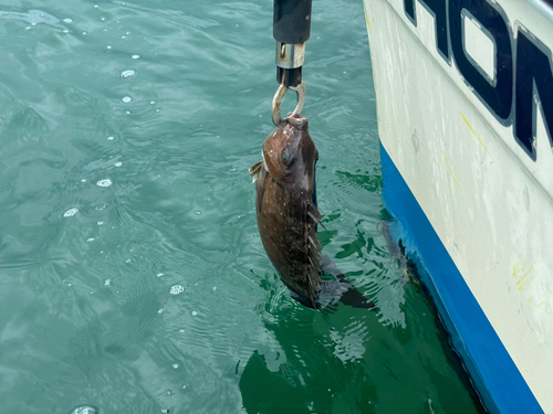 釣果