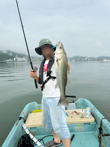 スズキの釣果