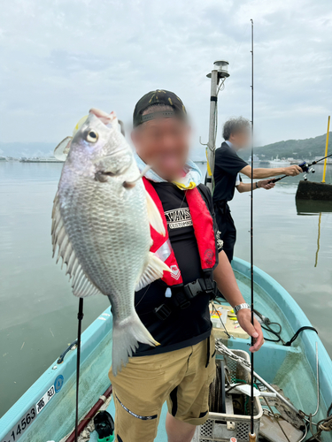 チヌの釣果