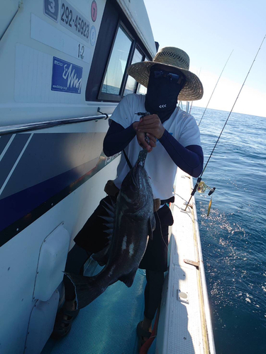 イシナギの釣果