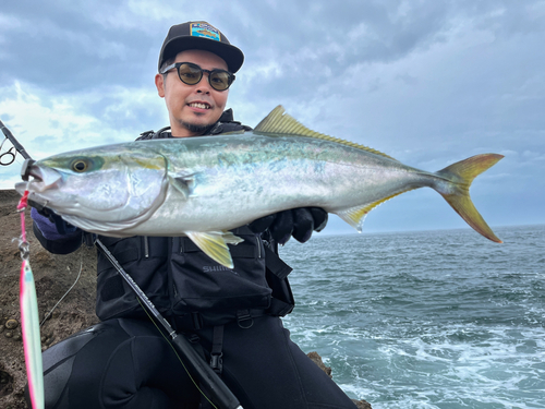 ワラサの釣果