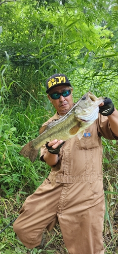 ラージマウスバスの釣果