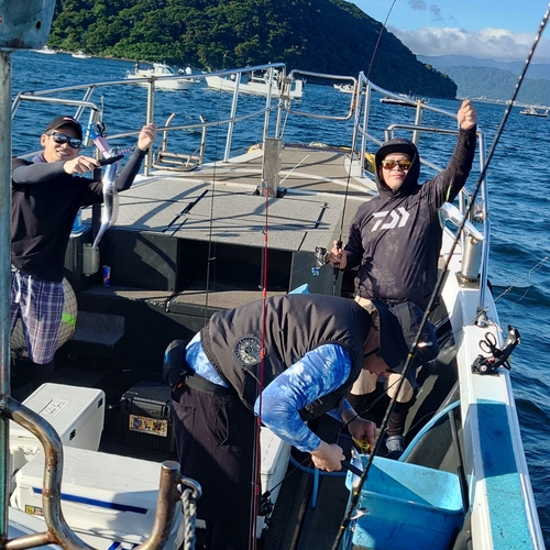 タチウオの釣果