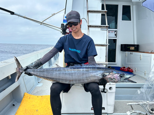 オキサワラの釣果