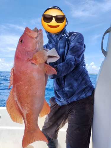 アカジンミーバイの釣果