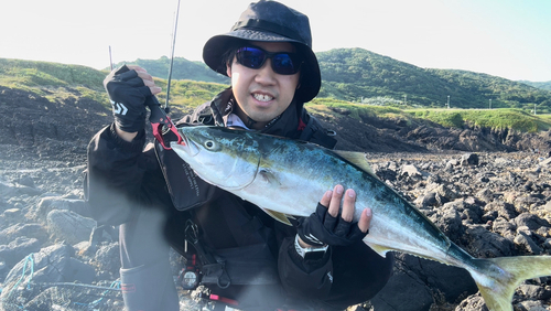 ワラサの釣果