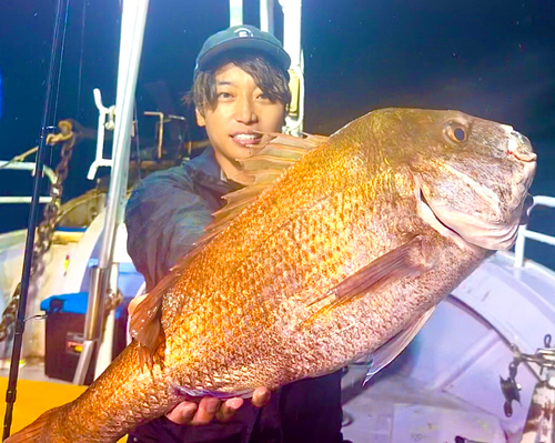 マダイの釣果