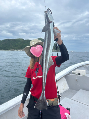 コバンザメの釣果